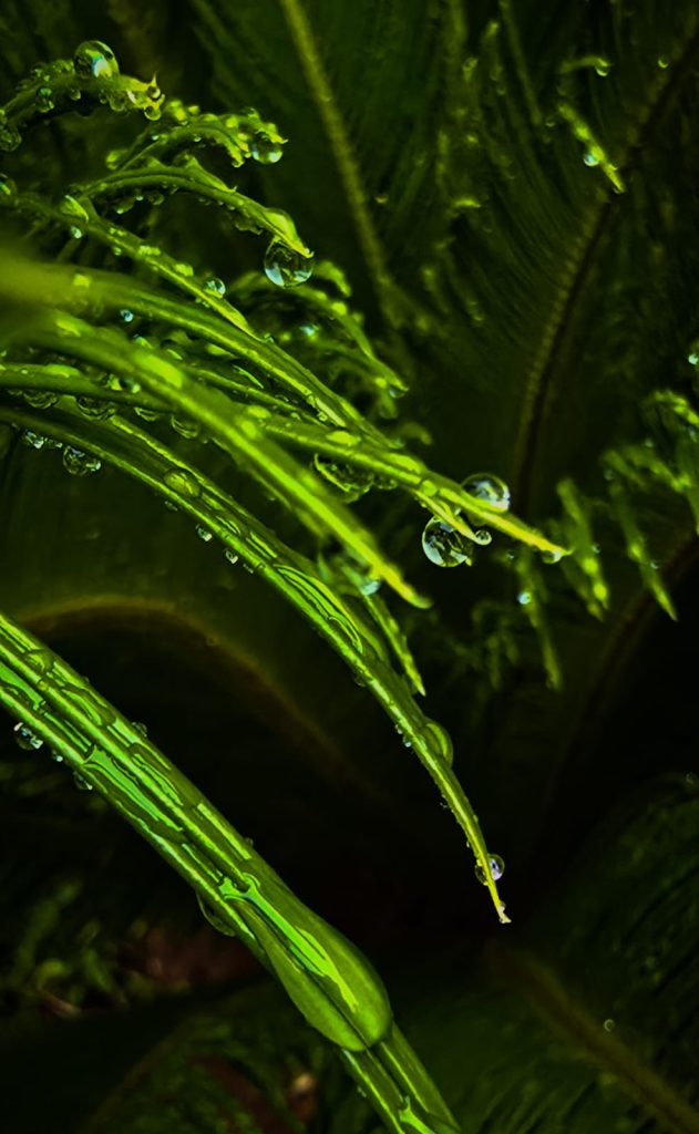water green new